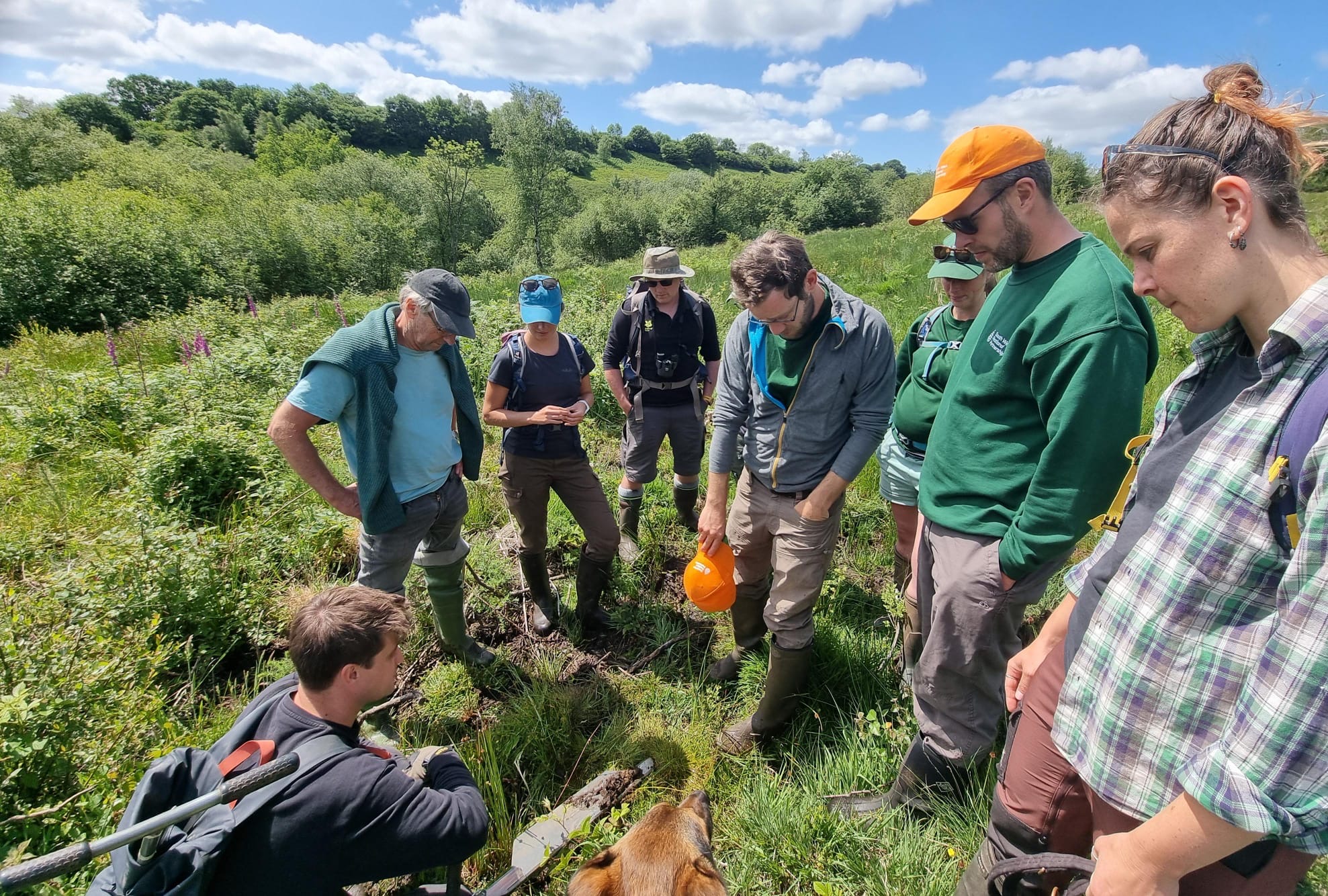 The team from the South West Peatland Partnership on Hense Moor